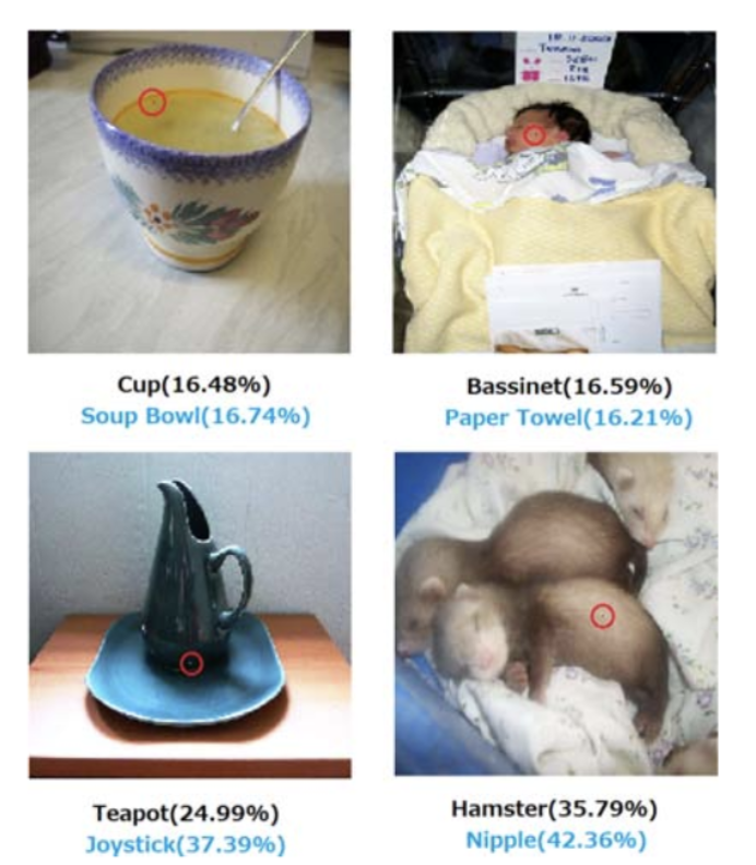 Examples of one-pixel adversarial attacks changing image classifications