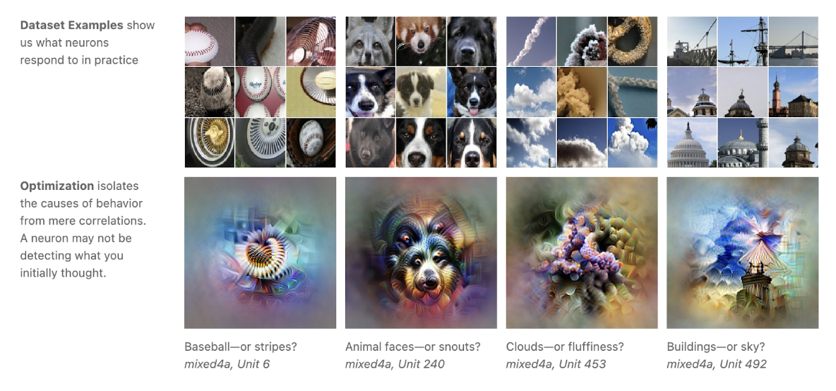 Grid of optimized feature visualization patterns showing edges, textures, patterns, parts, and objects across network layers
