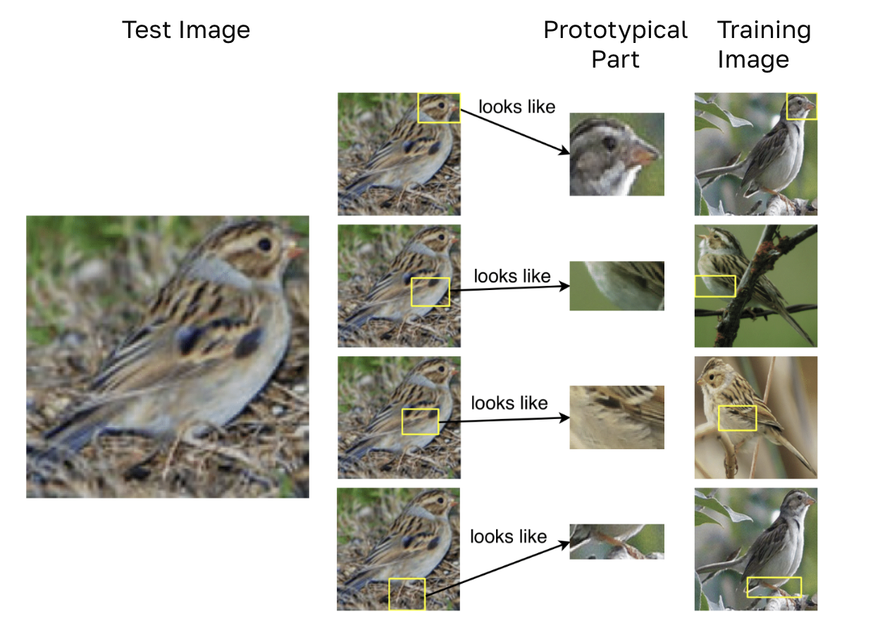 ProtoPNet patches