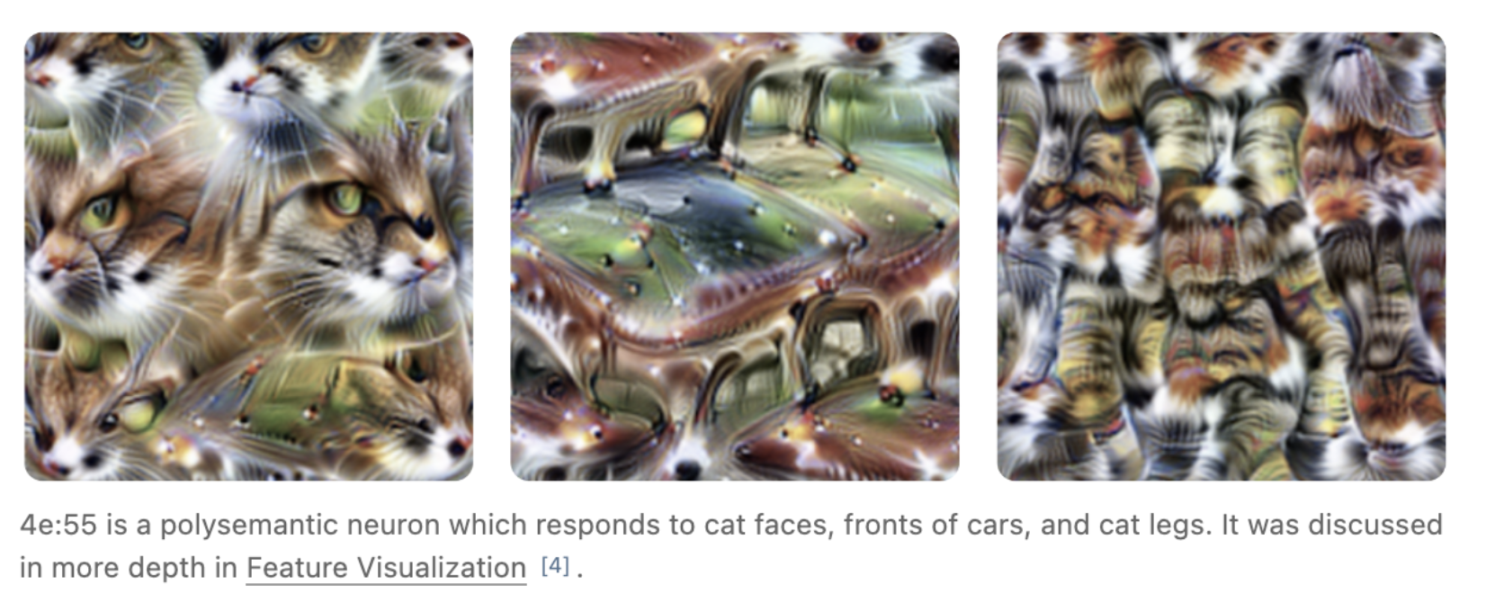 A single neuron's top activating images showing cat faces, fronts of cars, and cat legs