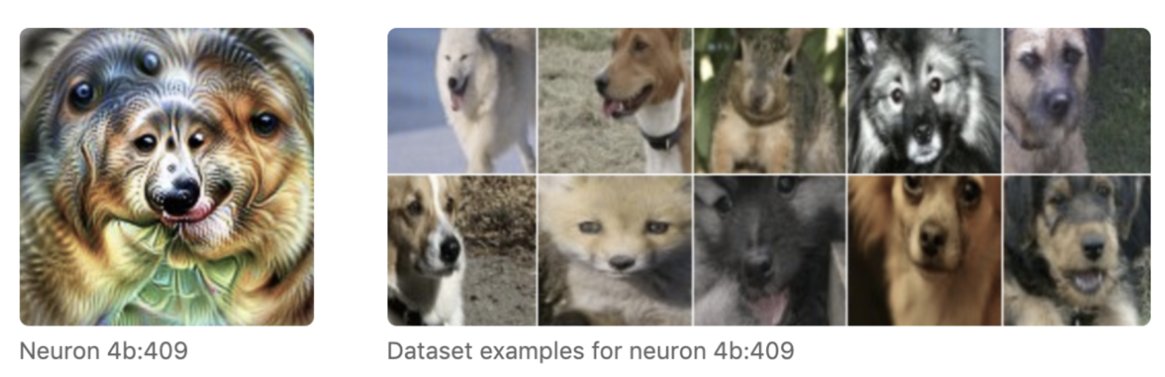 Pose invariant dog head detector: feature visualization on the left, dataset examples on the right