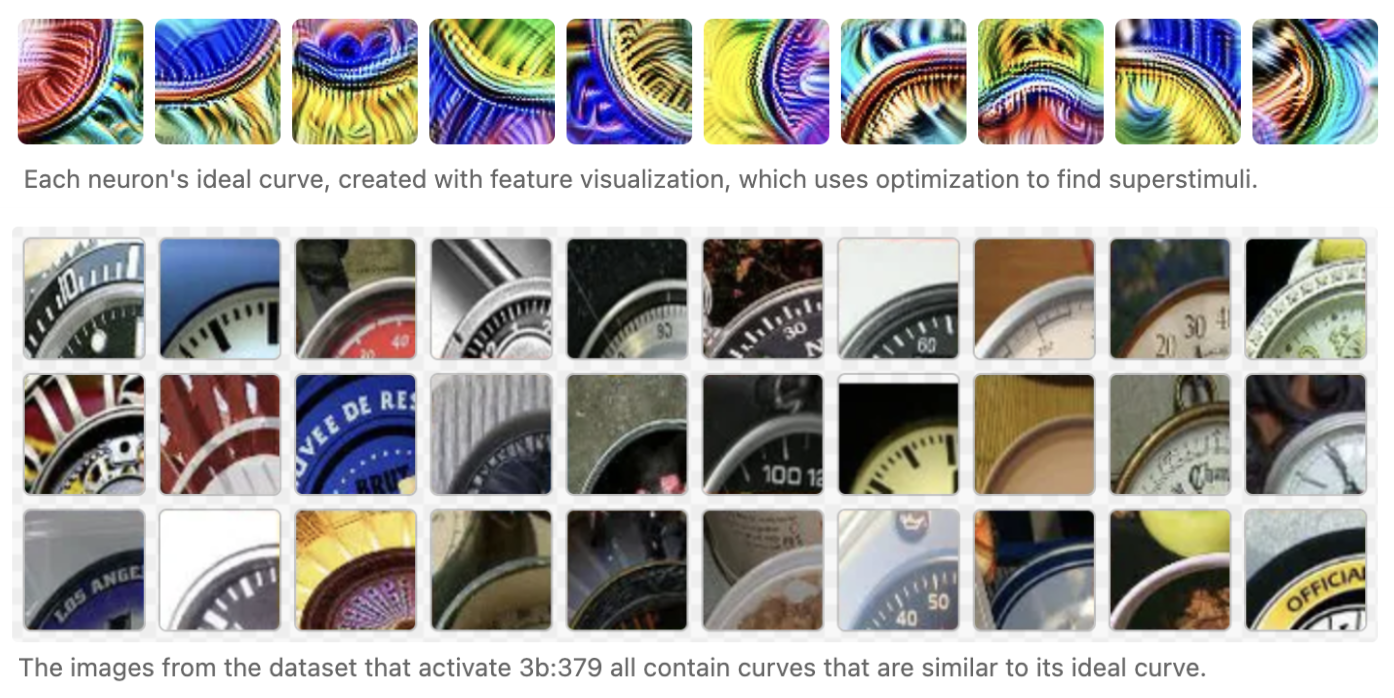 Evidence for features: feature visualization and dataset examples