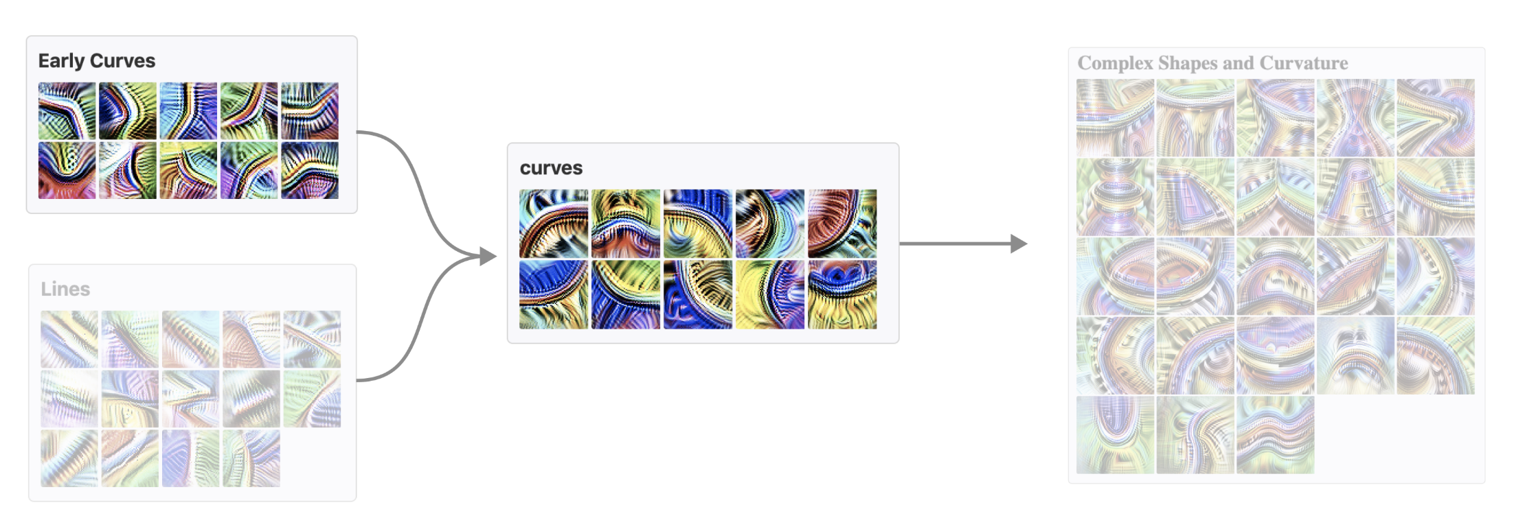 Evidence for curve detector features and circuits