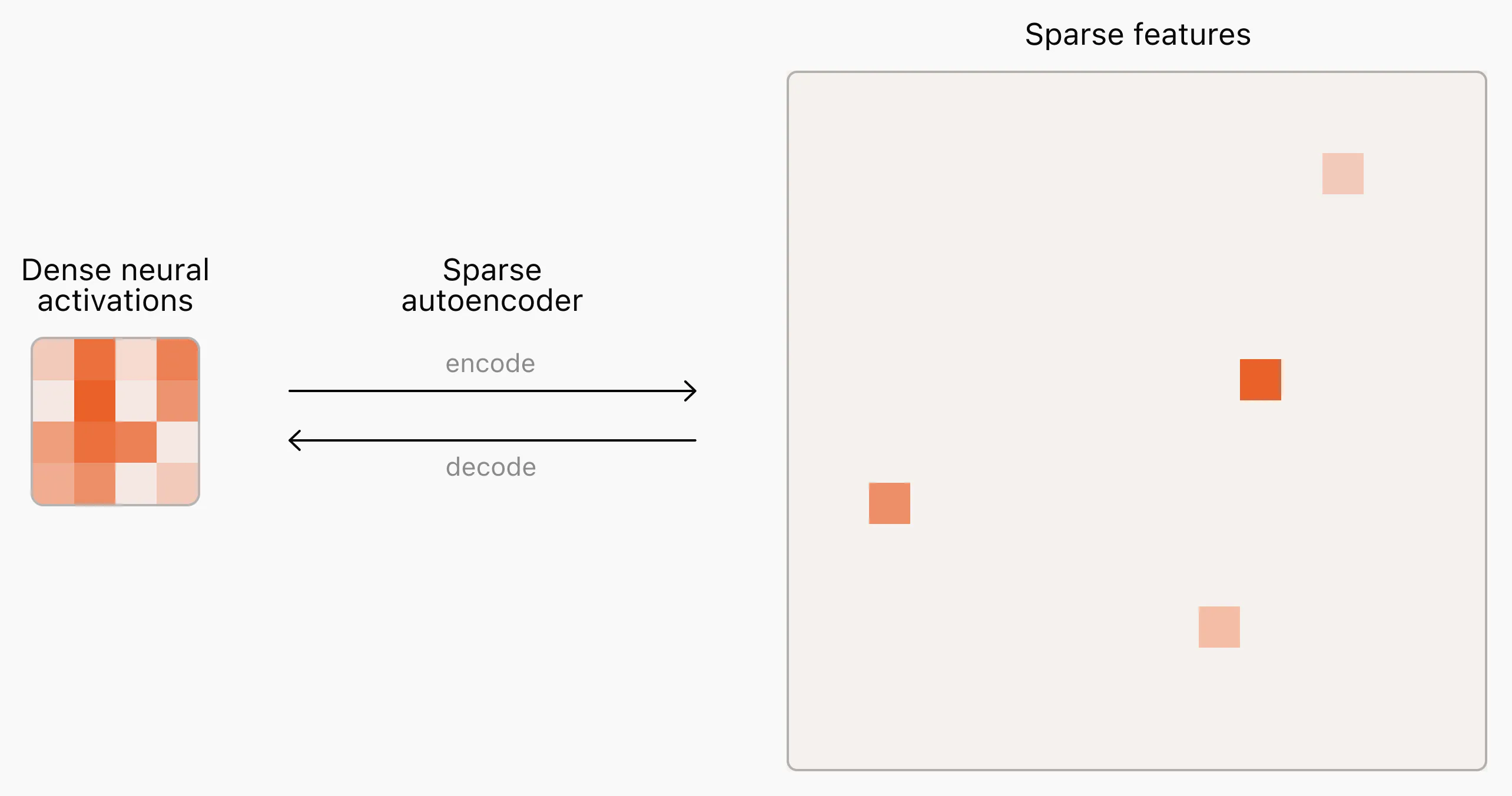 Diagram of a sparse autoencoder decomposing a model activation into sparse, interpretable features